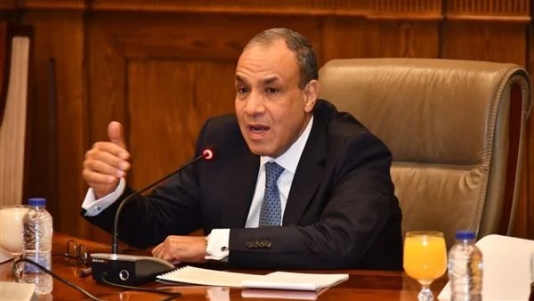 وزير الخارجية: حقوق الإنسان في مصر أداة لحماية المواطنين