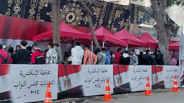 انطلاق تصويت الخارج فى الـ30 دائرة المُلغاة بانتخابات &laquo;النواب&raquo;.. غدا