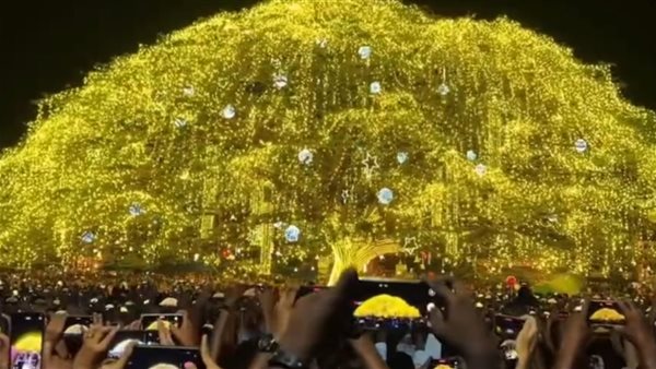 شجرة كوتشى العائمة.. أيقونة هندية عمرها 200 عام للاحتفال بالكريسماس 