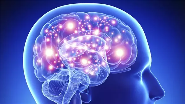 الدخل والتوتر المالي&hellip; كيف يؤثر على صحة الدماغ