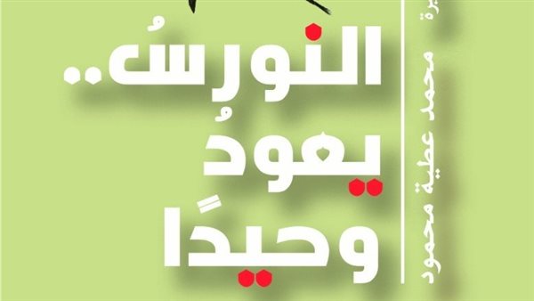 النورس يعود وحيدًا علي طاولة نادي أدب دمنهور غداً 