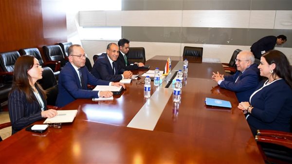 وزير الخارجية يؤكد للمبعوث الأممي ثوابت الموقف المصري تجاه الأزمة السودانية