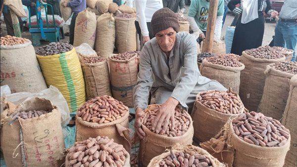 بنيجي من الصعيد.. تجار البلح يستقبلون الموسم الرمضاني في سوق العبور