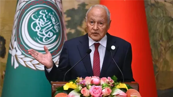 أبو الغيط في مجلس الأمن: الاحتلال الإسرائيلي أصل الأزمة في الشرق الأوسط