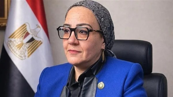 الحرمان من السوشيال ميديا.. داليا الأتربي تقترح إضافة عقوبة جديدة لقانون جرائم الإنترنت 