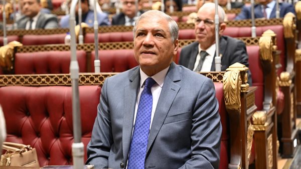 السادات: ما تحقق بأرض الفيروز يؤكد أن البناء لا يقل أهمية عن التحرير