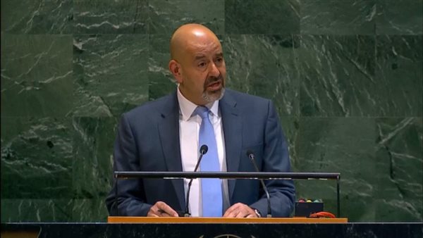 مندوب الأردن أمام مجلس الأمن: نرفض الإجراءات الاستيطانية الإسرائيلية المقوضة لحل الدولتين 