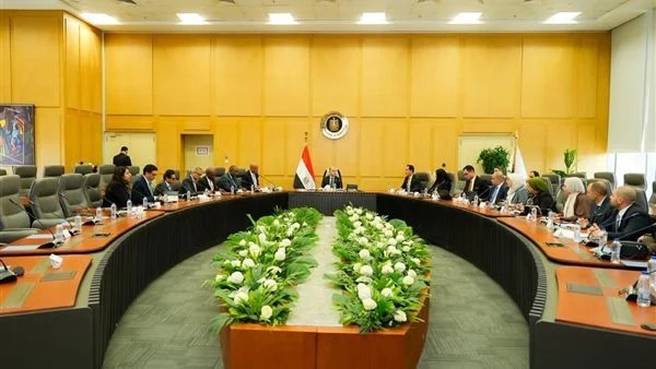 وزير الاستثمار يبحث مع مؤسسة التمويل الدولية تطوير بيئة الأعمال والتحول الرقمي