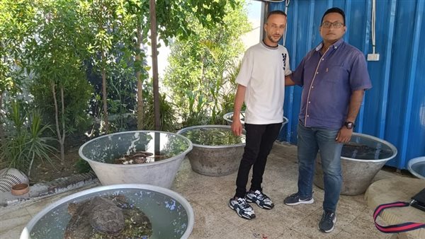 وزيرة التنمية المحلية والبيئة: مواطن ينقذ 6 سلاحف بحرية مهددة بالإنقراض