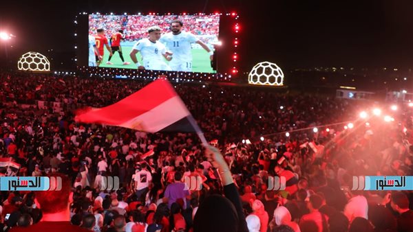 الجماهير المصرية تحتفى بلاعبى المنتخب بعد مواجهة بلجيكا (فيديو)