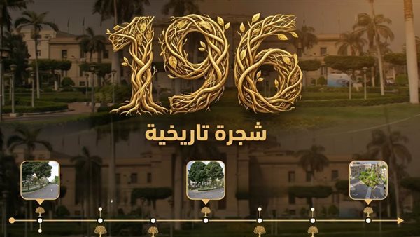 196 شجرة تحكي تاريخ جامعة القاهرة.. ذاكرة خضراء بين العلم والزمن