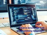 What Is Javascript Web Programming Language