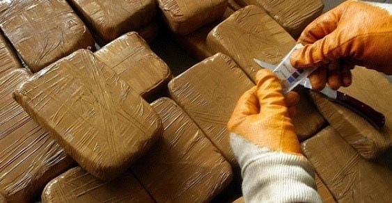 توقيف ثمانية أشخاص بينهم جمركيان لتورطهم في قضية تتعلق بالحيازة والاتجار في المخدرات
