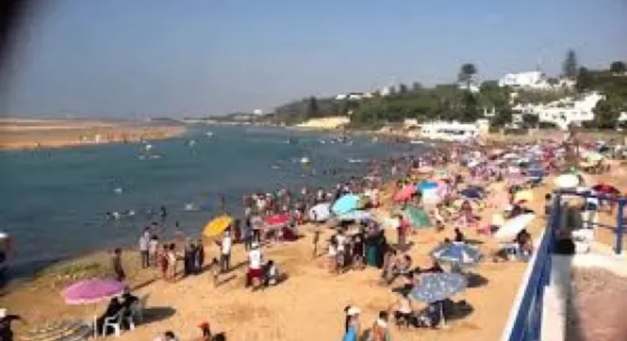 حملات أمنية استباقية بالواليدية تطيح بمبحوث عنه في أكثر من 20 قضية وتلقى إشادة الزوار