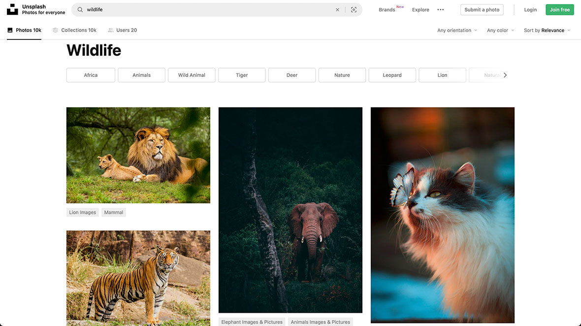 School's out for summer, so keep kids of all ages busy with summer coloring sheets. Getty Images Announces The Acquisition Of Stock Photo Platform Unsplash Digital Photography Review