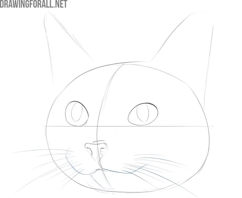 From history and biological anatomy to their behavioral patterns, there's a lot to know about cats. How To Draw A Cute Cat