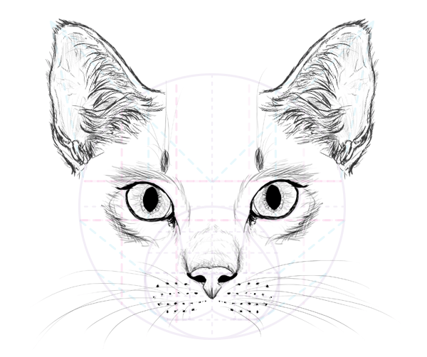 I provide two different ways for draw a cat face in this video, easy and a bit . Cat Picture Drawing Drawing Skill