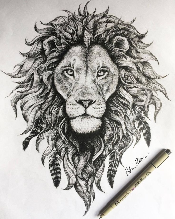With our simple step by step how to draw a lion tutorial you will be drawing a lion of your own in no time. Lion Head Drawing Image Drawing Skill