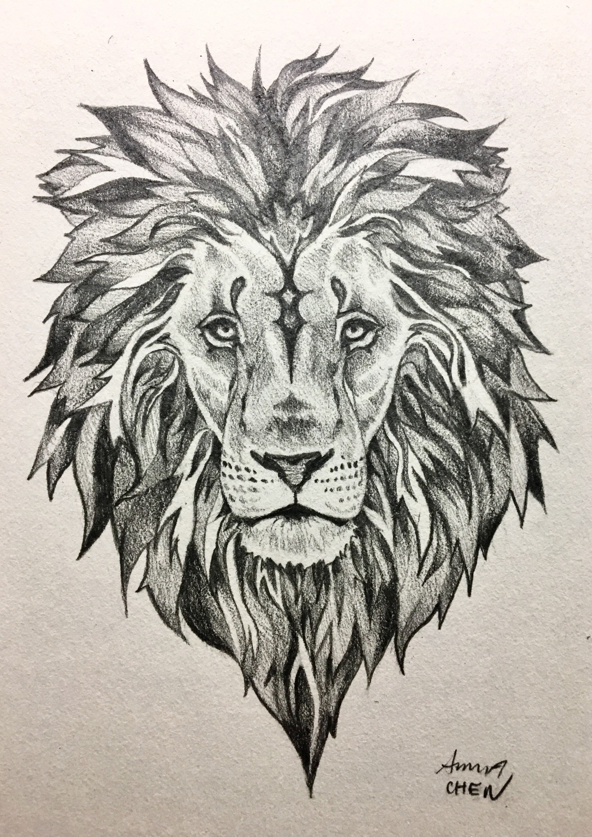 Lion Drawing, Pencil, Sketch, Colorful, Realistic Art Images | Drawing Skill 2714_x_1920_jpg