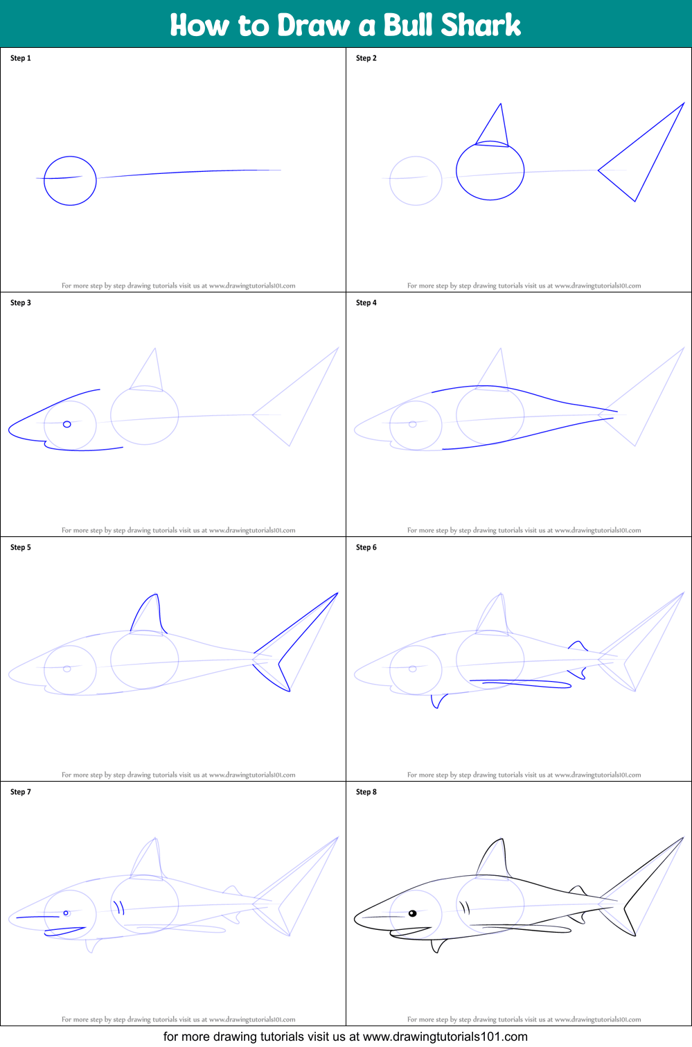 images Bull Shark Drawing Step By Step how to draw a bull shark printable step