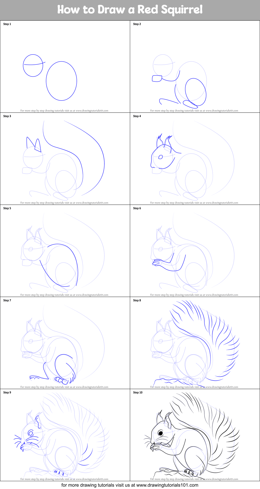 how to draw a red squirrel printable step by step drawing sheet drawingtutorials101com on red squirrel drawing easy