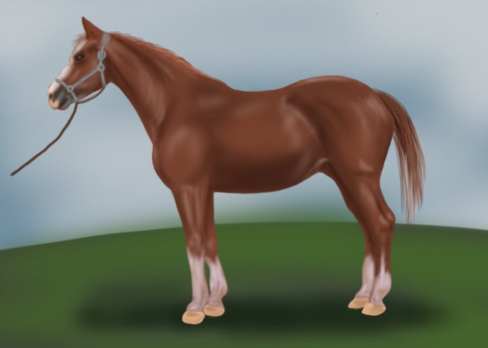 Previously, horses were one of the most expensive vehicles, because they could run fast for any… Learn How To Draw A Horse Farm Animals Step By Step Drawing Tutorials