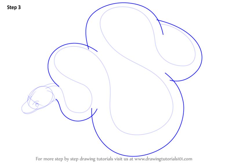 Learn How To Draw A Python Reptiles Step By Step Drawing Tutorials - Ultra HD Full HD Vintage Images | Free Download