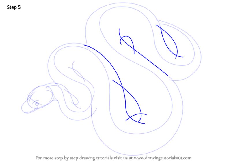 Learn How To Draw A Python Reptiles Step By Step Drawing Tutorials - Elegant 8K Sunset Patterns | Free Download