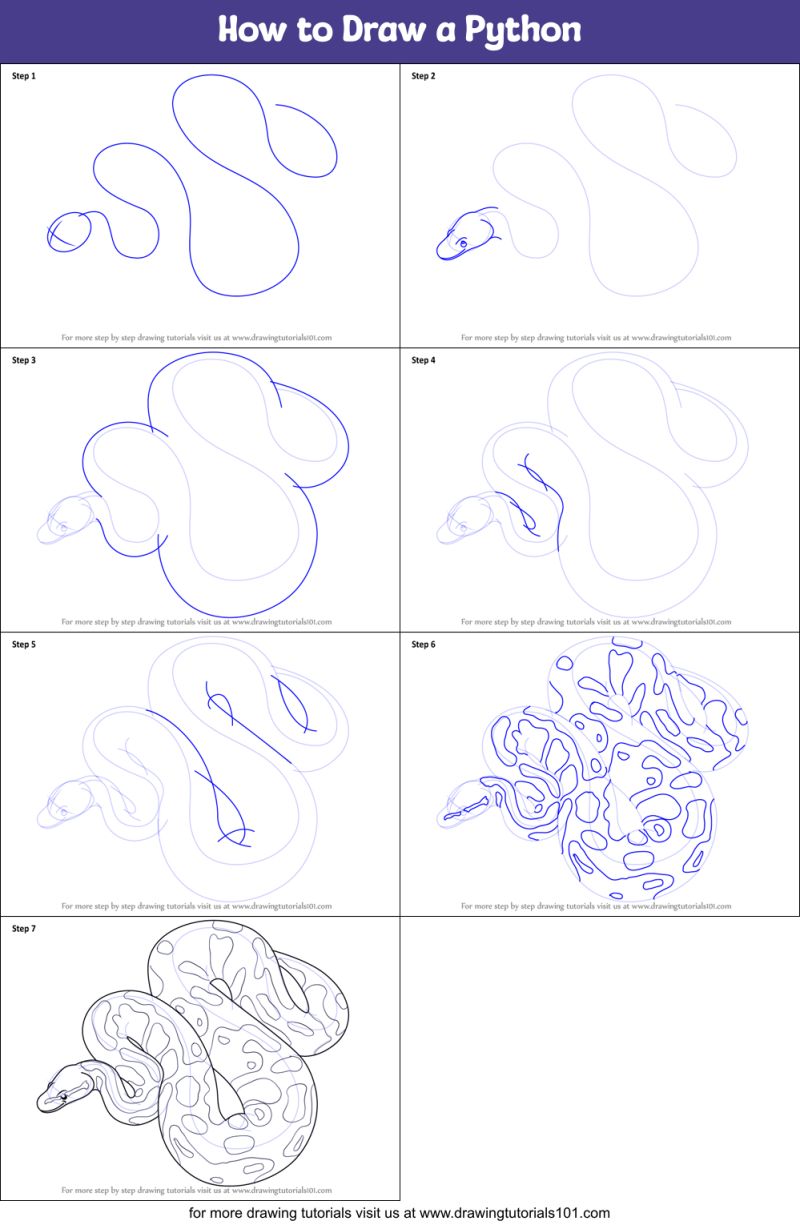 Giant Python Drawing Easy How To Draw A Python Step By Step Simply - Artistic HD Landscape Backgrounds | Free Download