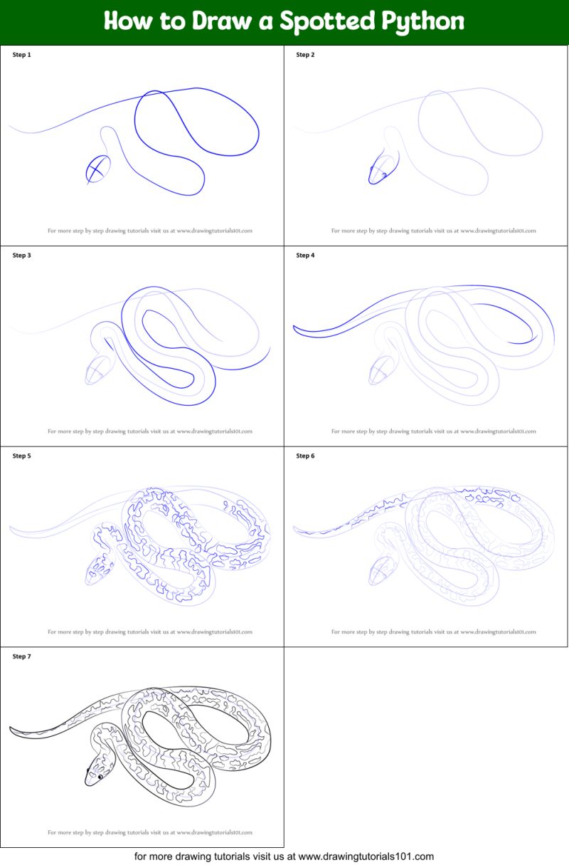 How To Draw A Spotted Python Snakes Step By Step - Download Incredible Geometric Photo | Retina