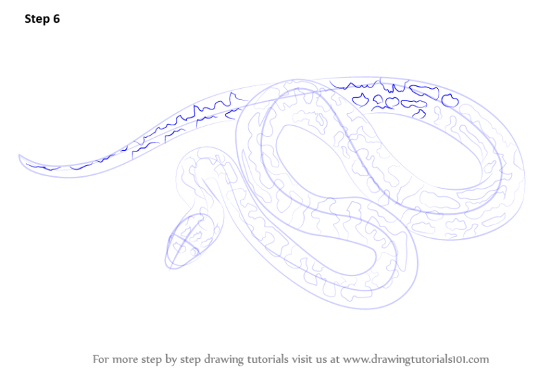 How To Draw A Spotted Python Snakes Step By Step - Download Stunning Light Wallpaper | Mobile