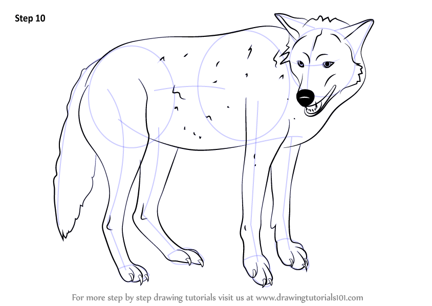 These paper face masks are available in a standard version and a coloring page version. Step by Step How to Draw a Timber Wolf