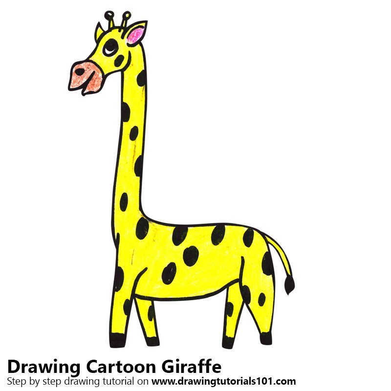 Sharpen your art skills as you learn how to draw a cartoon skateboarder. Learn How To Draw A Cartoon Giraffe Cartoon Animals Step By Step Drawing Tutorials