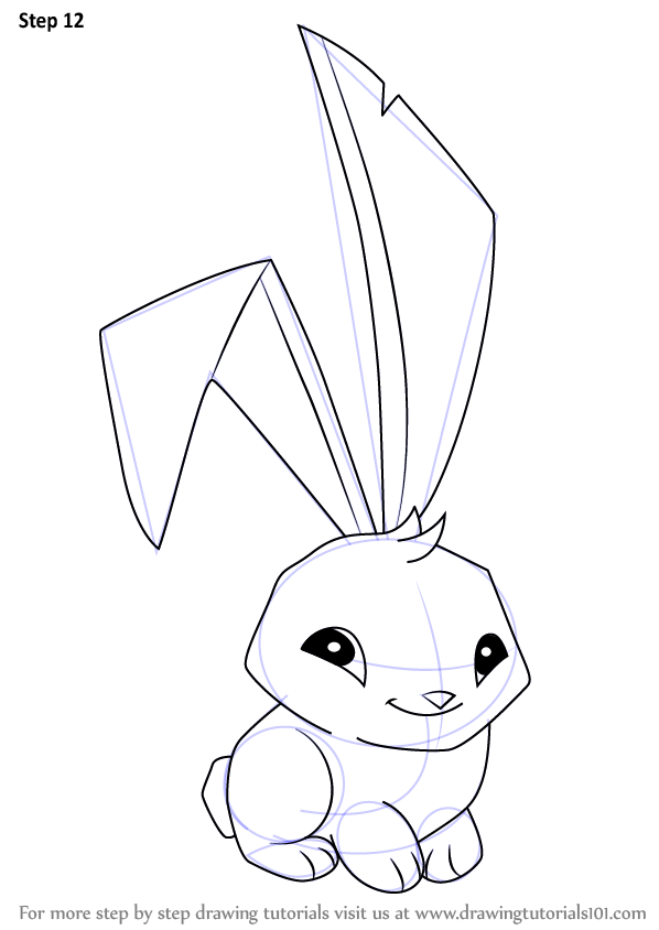 picture Rabbit Easy Animal Drawing Colour learn how to draw bunny from animal jam