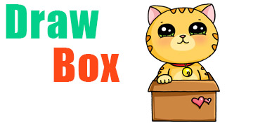 Cat in Box