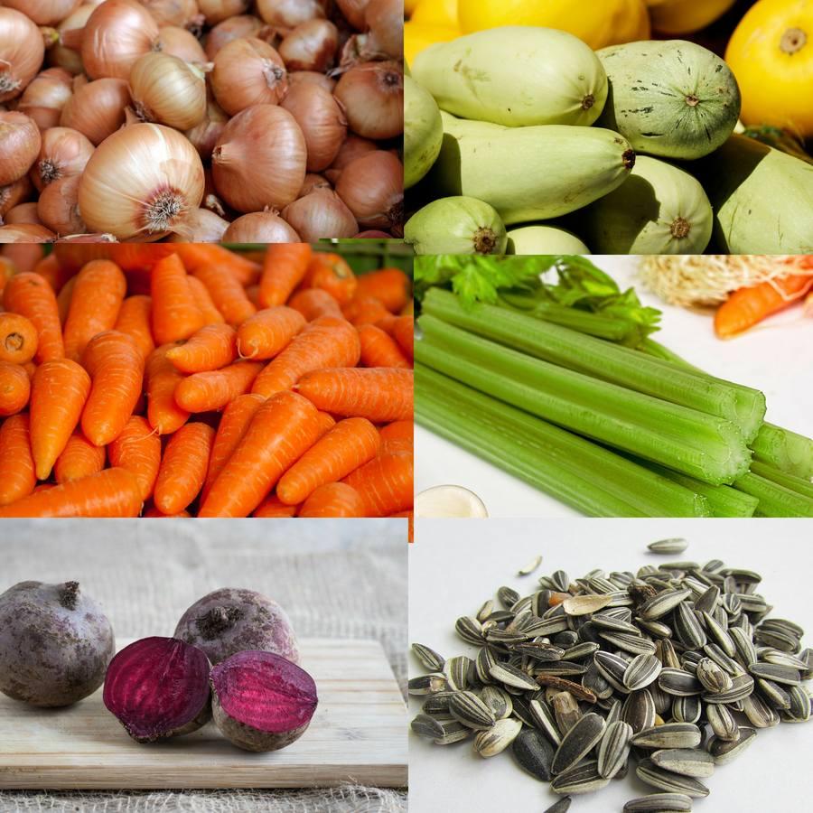 ensalada de verduras de raíz