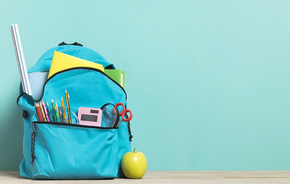 Bag in a dream