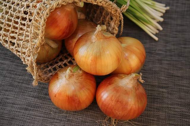 Dreaming of onions