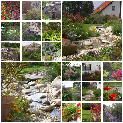 Stadtgartner Mussen Kranke Baume In Cainsdorf Fallen Hitradio Rtl