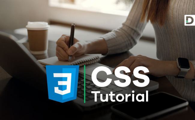 Learn CSS: From Basic To Advanced Level With Examples | Dremendo