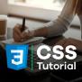 Learn CSS: From Basic To Advanced Level With Examples | Dremendo