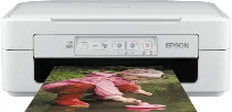 Une imprimante à jet d'encre entrée de gamme, l'epson xp 245 séduit ses utilisateurs par son . Epson Expression Home Xp 247 Driver Software Downloads