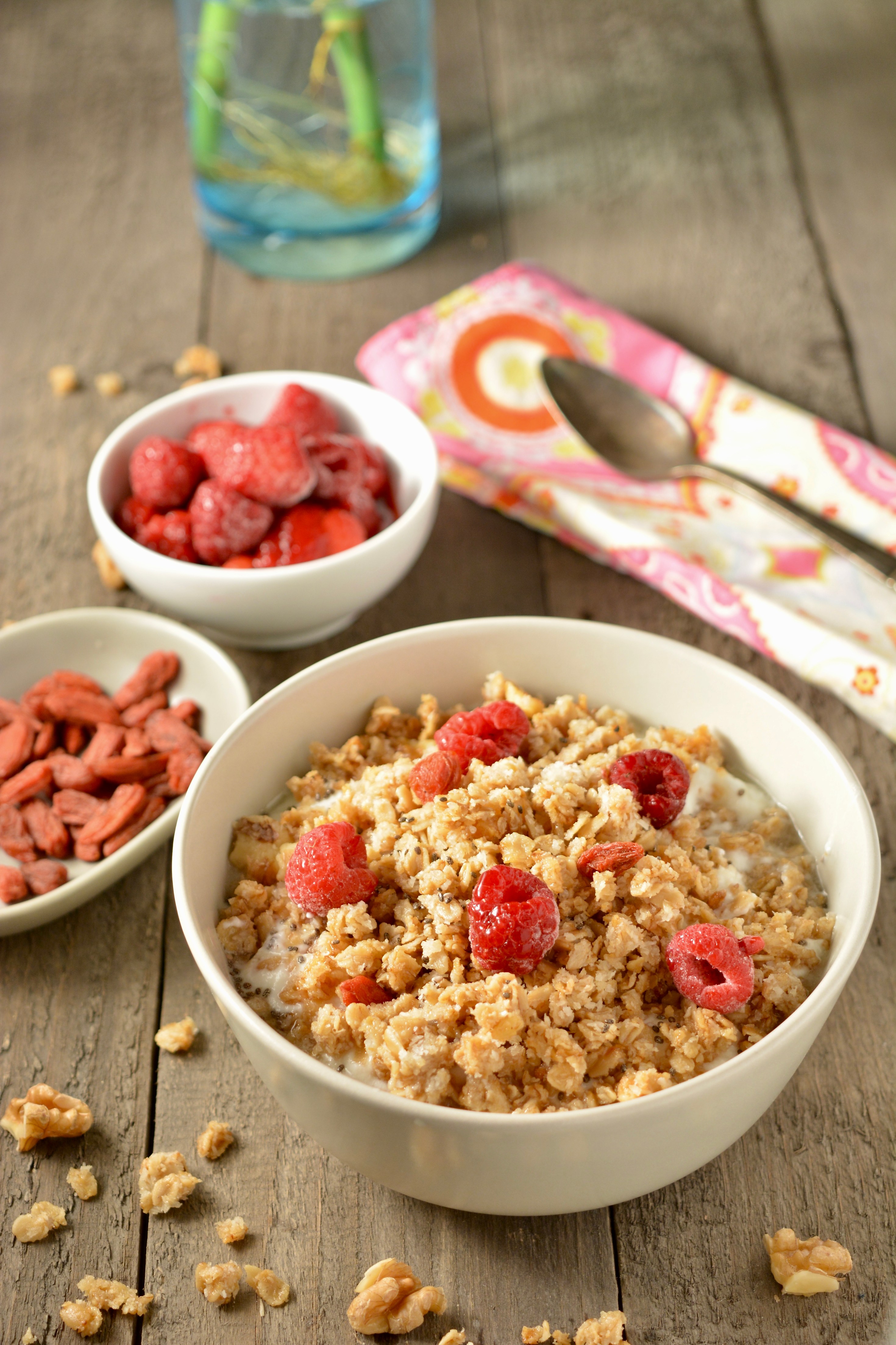 Soaked Oat Granola Dr. Laura's Kitchen