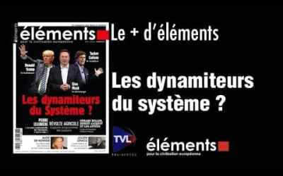 Elon Musk, Donald Trump, Tucker Carlson contre le Système   Le Plus d’Eléments   TVL