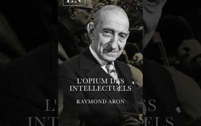 Raymond Aron et l’Opium des intellectuels. Vidéo complète sur ego-non.com #socialisme #politique