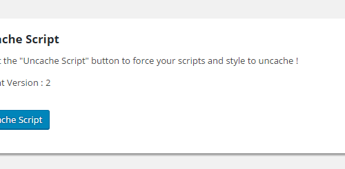 Wymuszenie pobrania nowych wersji plików CSS/JS na żądanie
