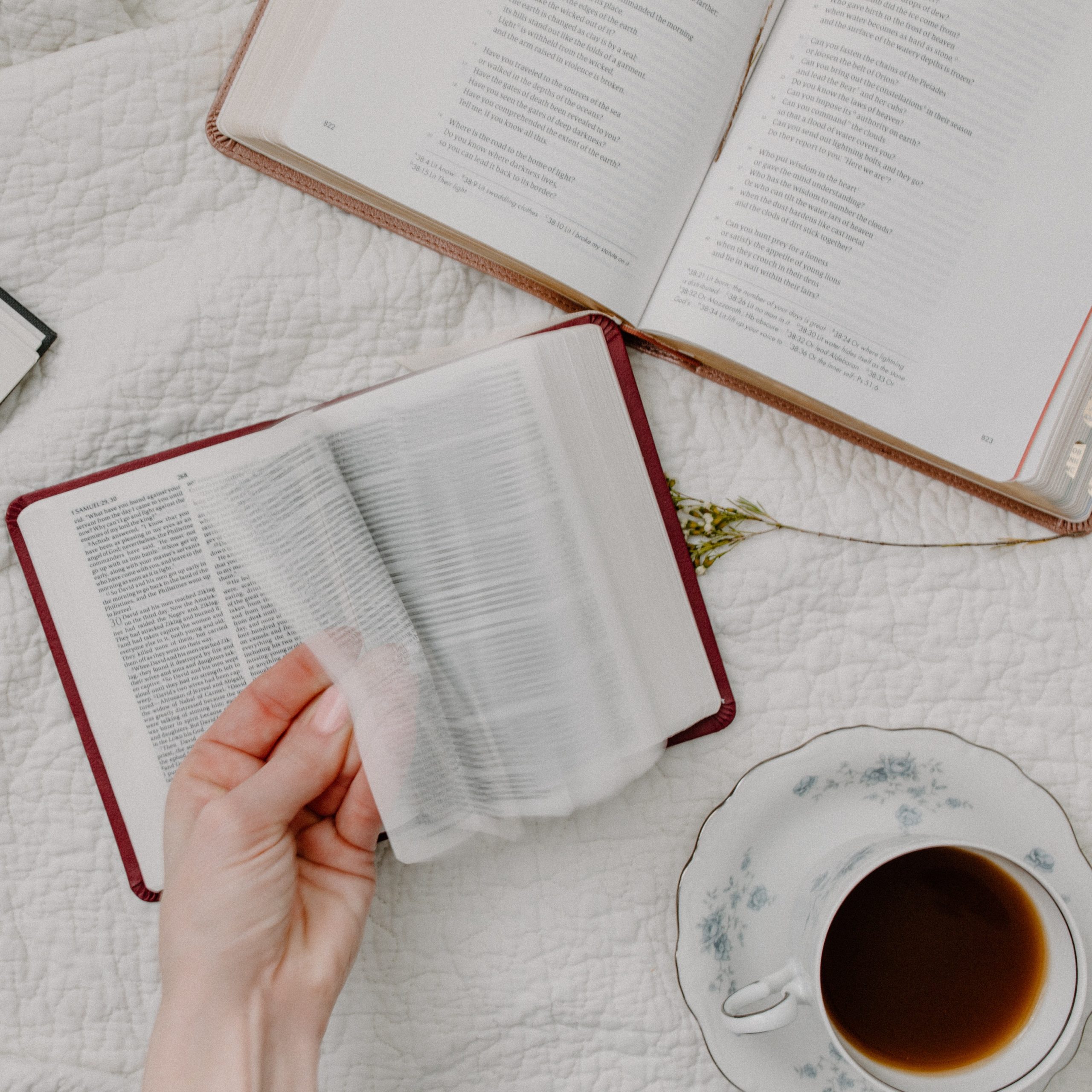 The Compelling Story of Drugs and the Bible, from the Perspective of the Authors
