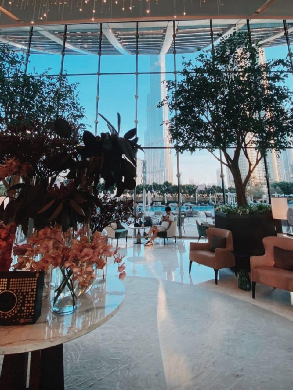 Toboggan Urbain à 219M de haut à Dubai Dubai Organizer