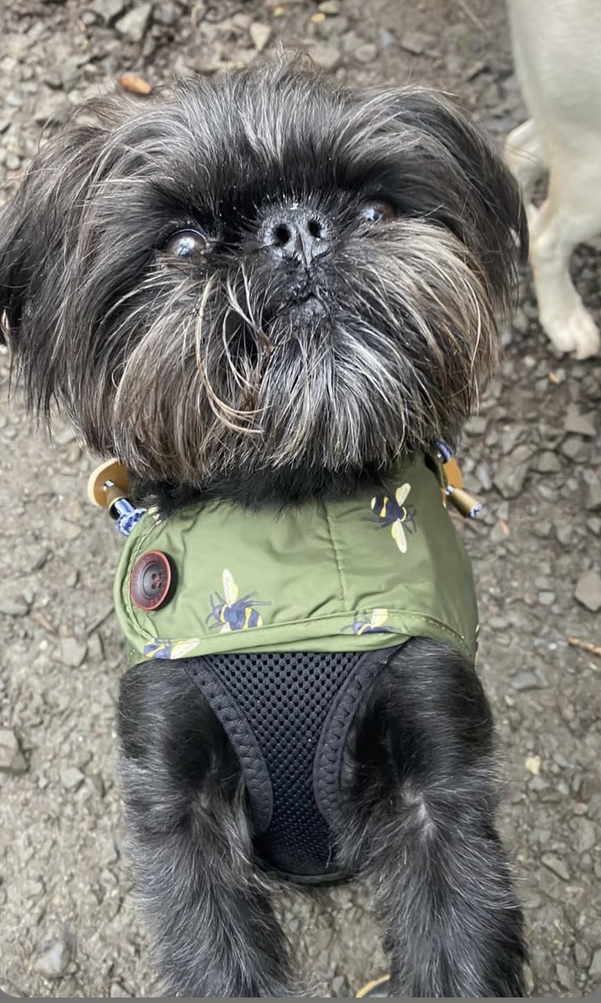 Dougal from Edinburgh