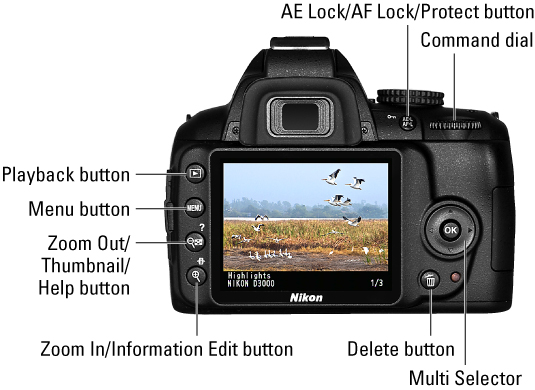 The camera body is the most basic part of a camera. Nikon D3000 For Dummies Cheat Sheet Dummies